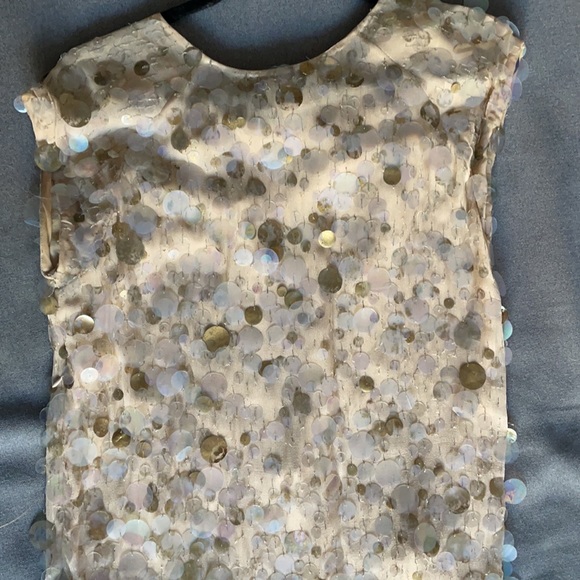 Haute Hippie Paillettes Dress - Picture 3 of 6